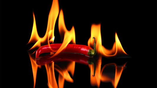 L’échelle de Scoville : comprendre le niveau de piquant des piments